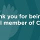 Thank you for being a member of Caro!